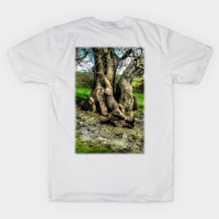 A tree in a pool of light T-Shirt